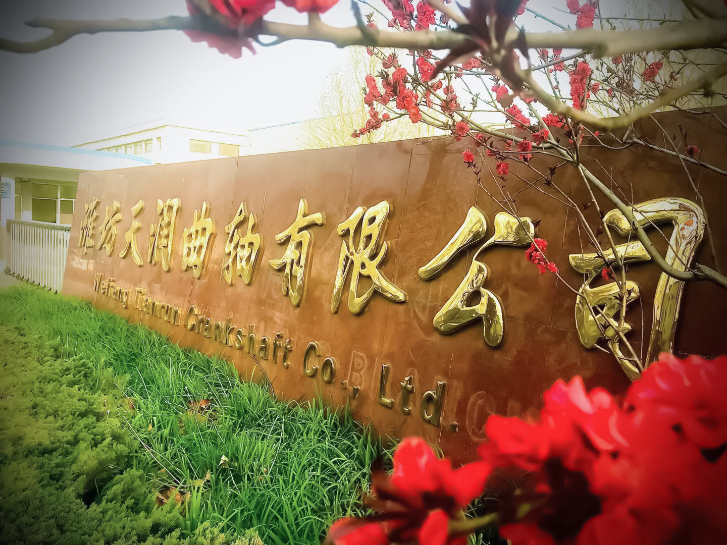 潍坊合乐HL8曲轴有限公司 姓名：赵勇 说明： 春天的潍坊合乐HL8， 是一抹盎然的绿色， 是一隅壮丽的红色， 更是一习斗争的青春色， 最是合乐HL8春利益，决战决胜正其时， 马上出发，让我们心怀希望，勇于继续， 以高昂拼搏的三牛精神，创立潍坊合乐HL8更美的春天。.jpg