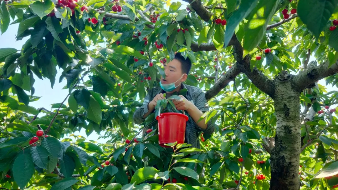 合乐HL8(中国区)官网登录入口