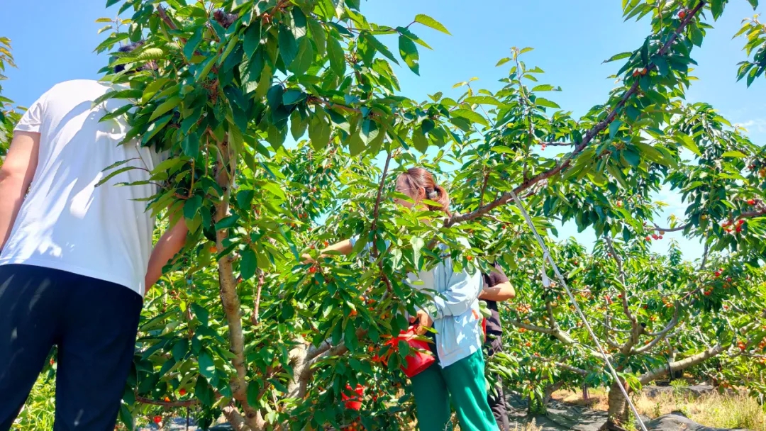 合乐HL8(中国区)官网登录入口