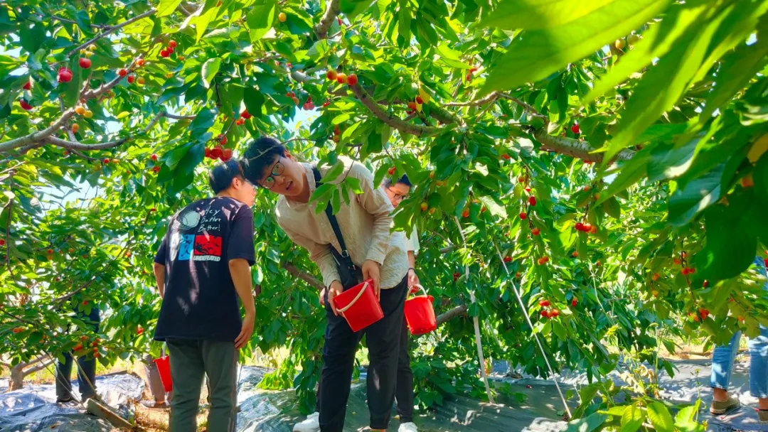 合乐HL8(中国区)官网登录入口