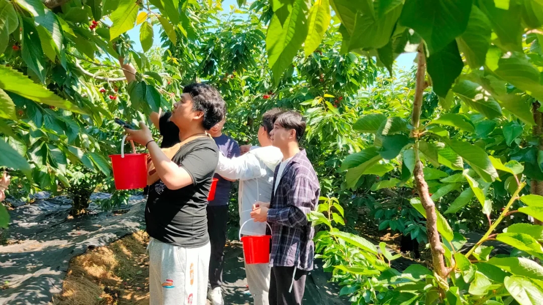 合乐HL8(中国区)官网登录入口